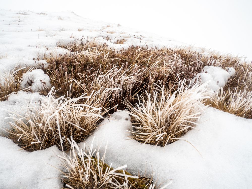 Photograph by Pucs Fongabe