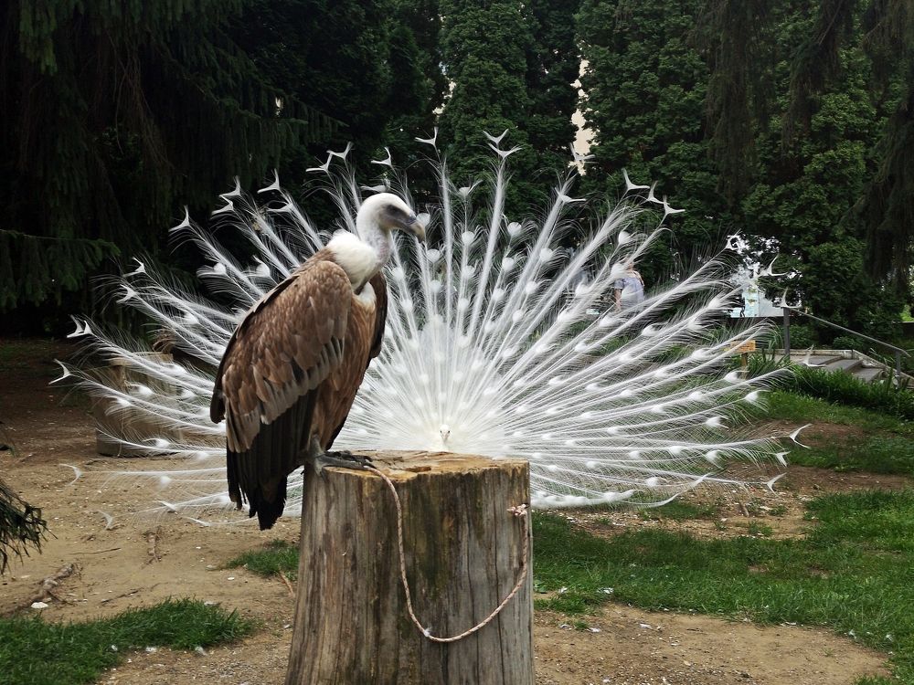 Photograph by Михаил Янкин