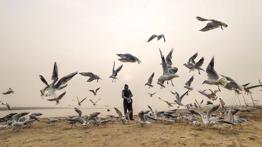 Photograph by Abhishek Rai