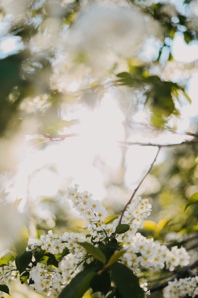 Photograph by Виктория Гисс