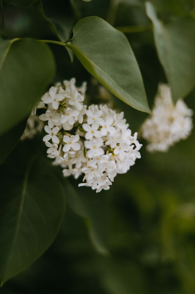 Photograph by Виктория Гисс