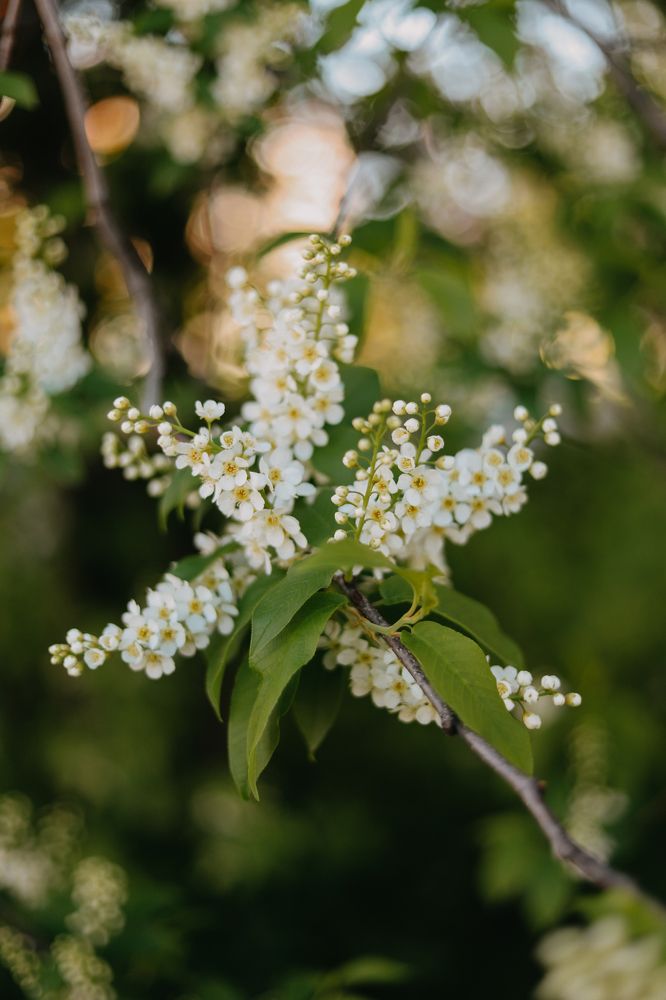 Photograph by Виктория Гисс
