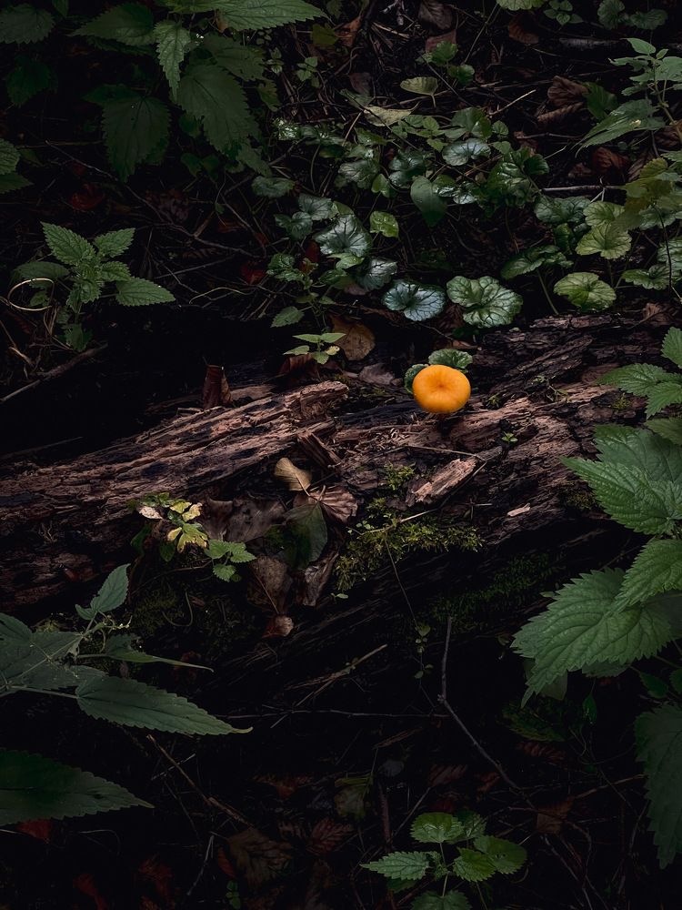 Photograph by Марина