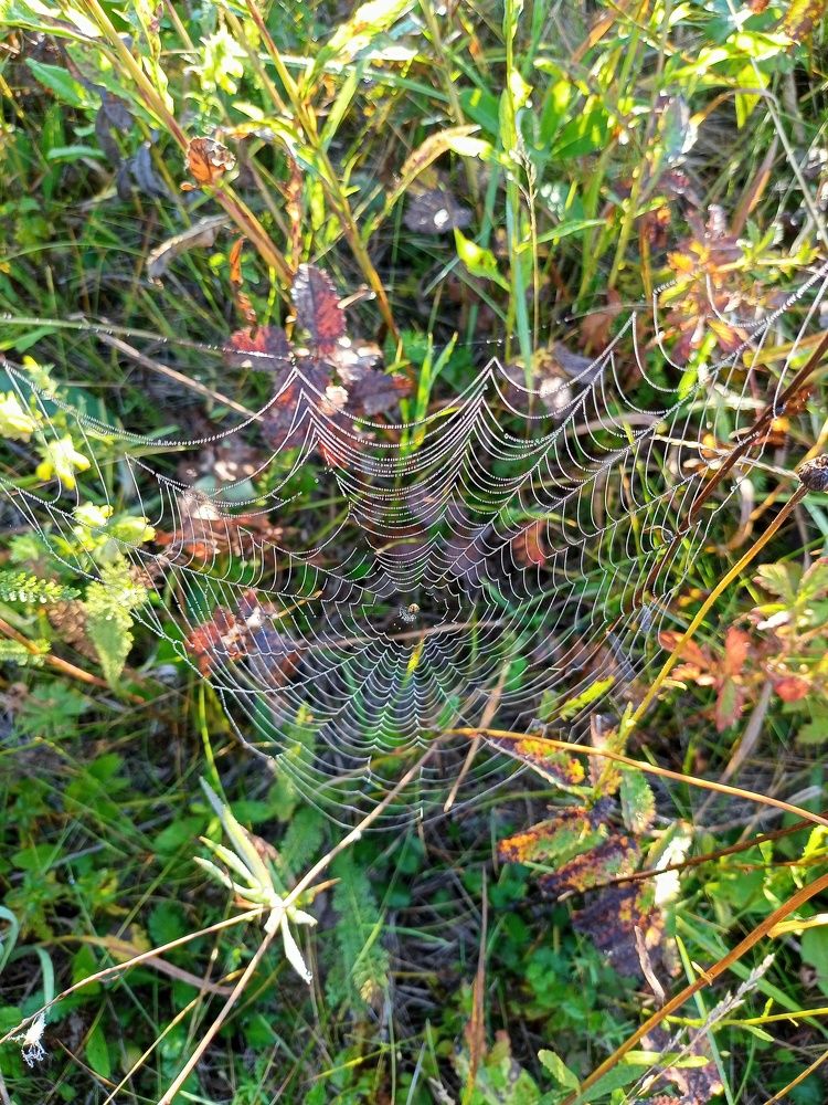 Photograph by Светлана