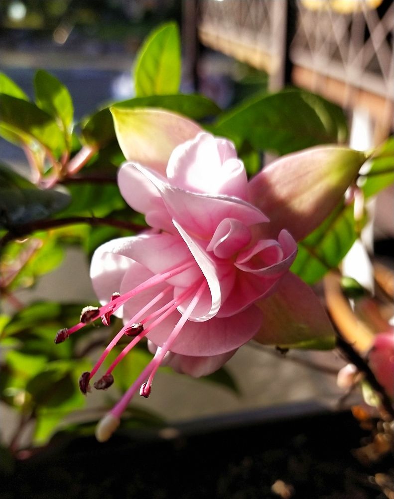 Photograph by Елизавета Лай