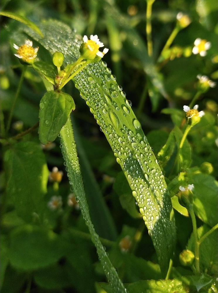 Photograph by Елизавета Лай