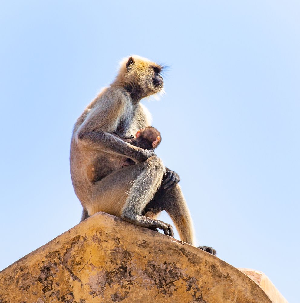Фотография автора Людмила Прокофьева