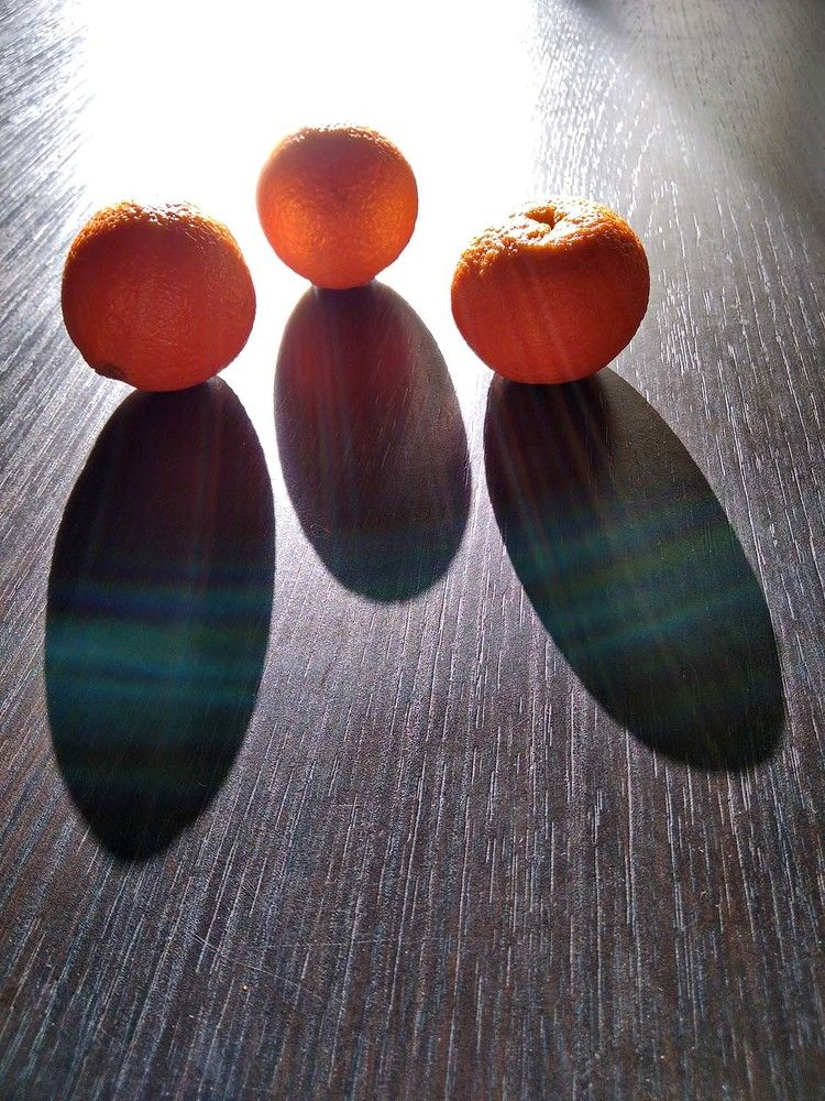 Photograph by Игорь Пшеничников