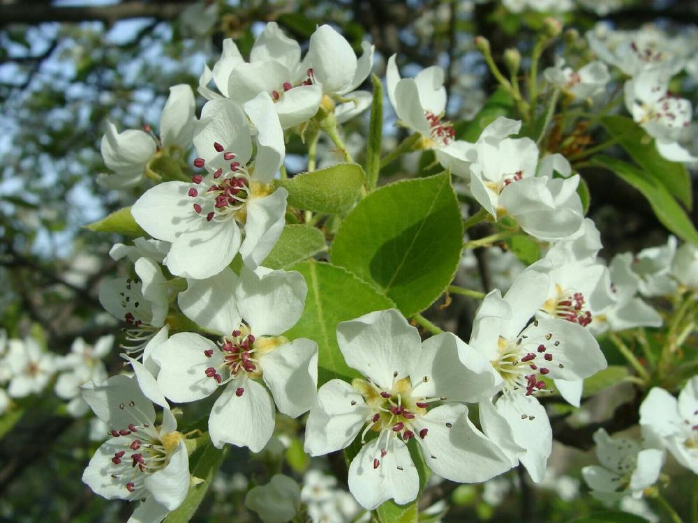 Фотография автора Павел Попов