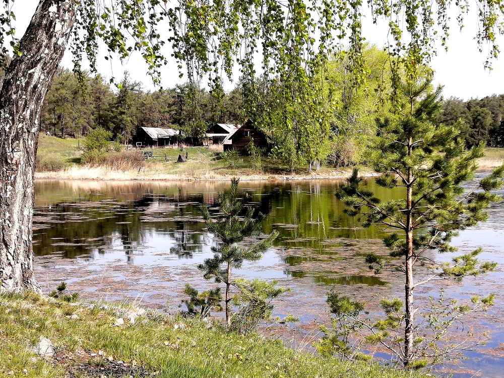 Photograph by Дмитрий Петренко