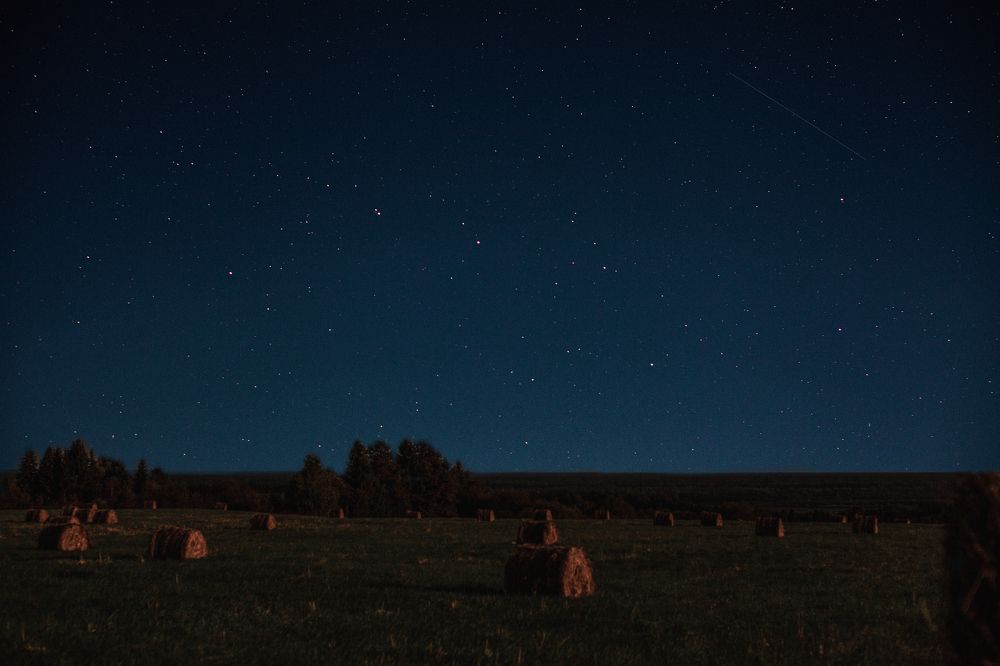 Звездная ночь