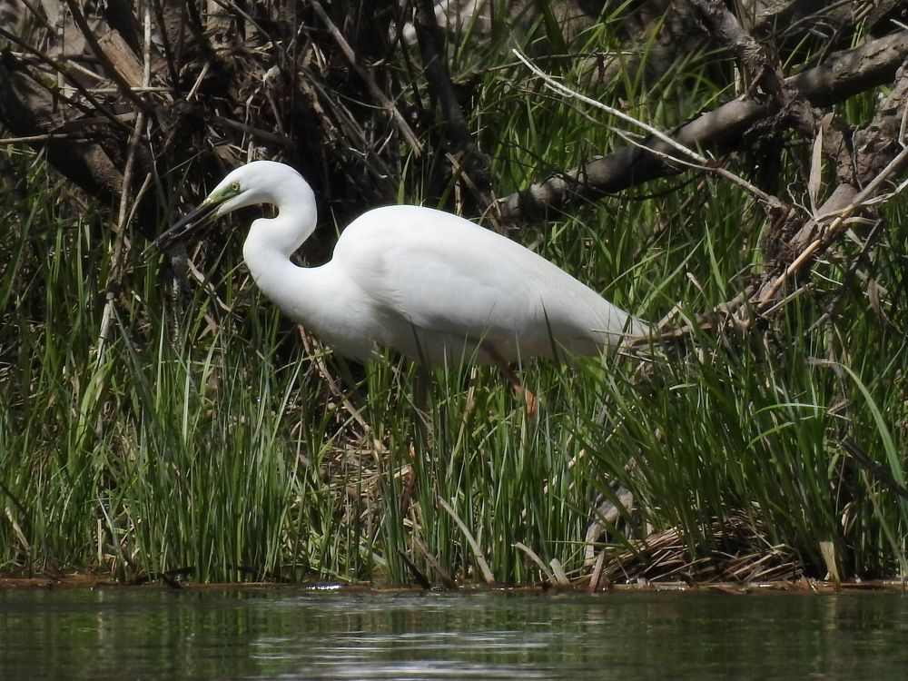 Photograph by Татьяна Калугина