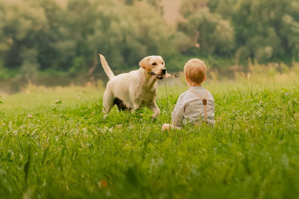 Photograph by Любовь Павленкова