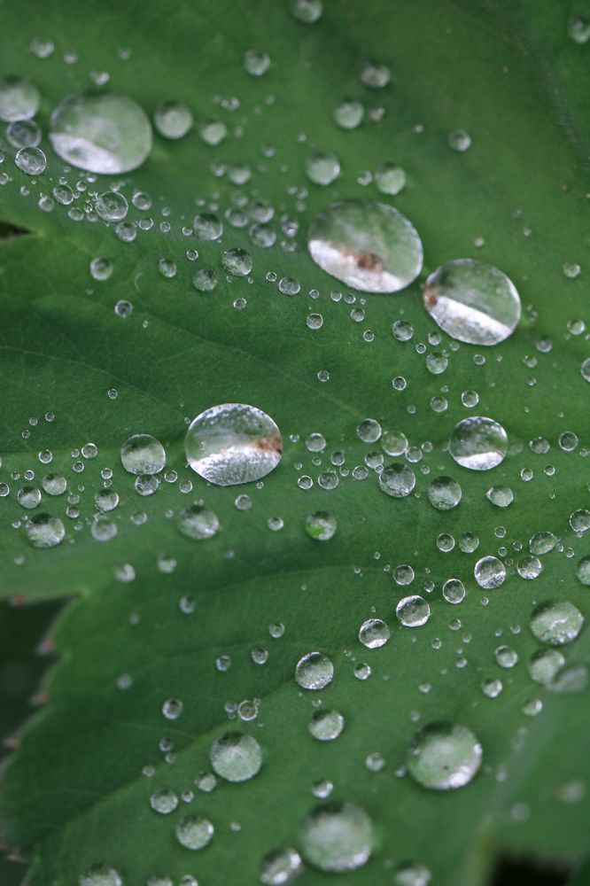 Photograph by Надежда Зайцева