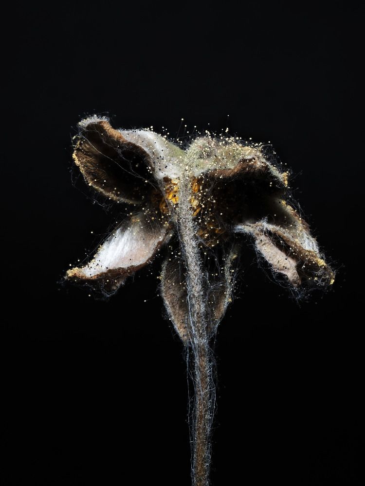 Photograph by Jurga Siauciuniene