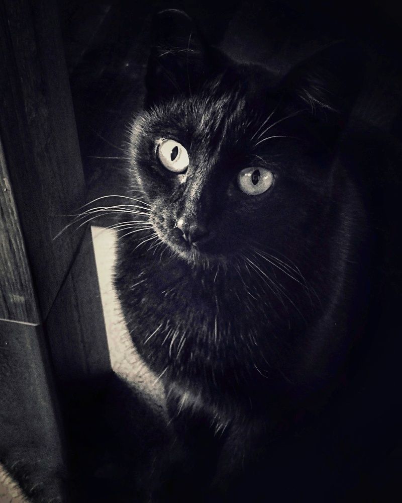 Photograph by Елена Силантьева