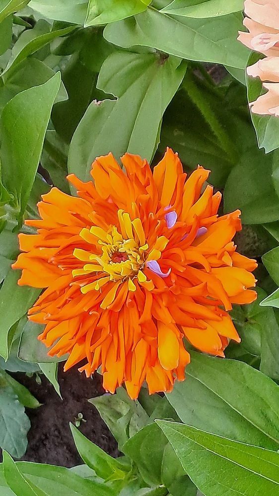 Photograph by Николай Худяков