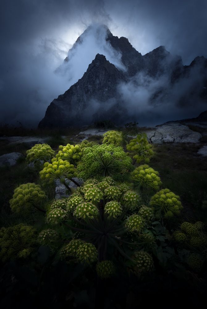 Photograph by Gabriel Jakab