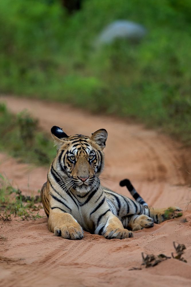 Photograph by Gade Neeraj