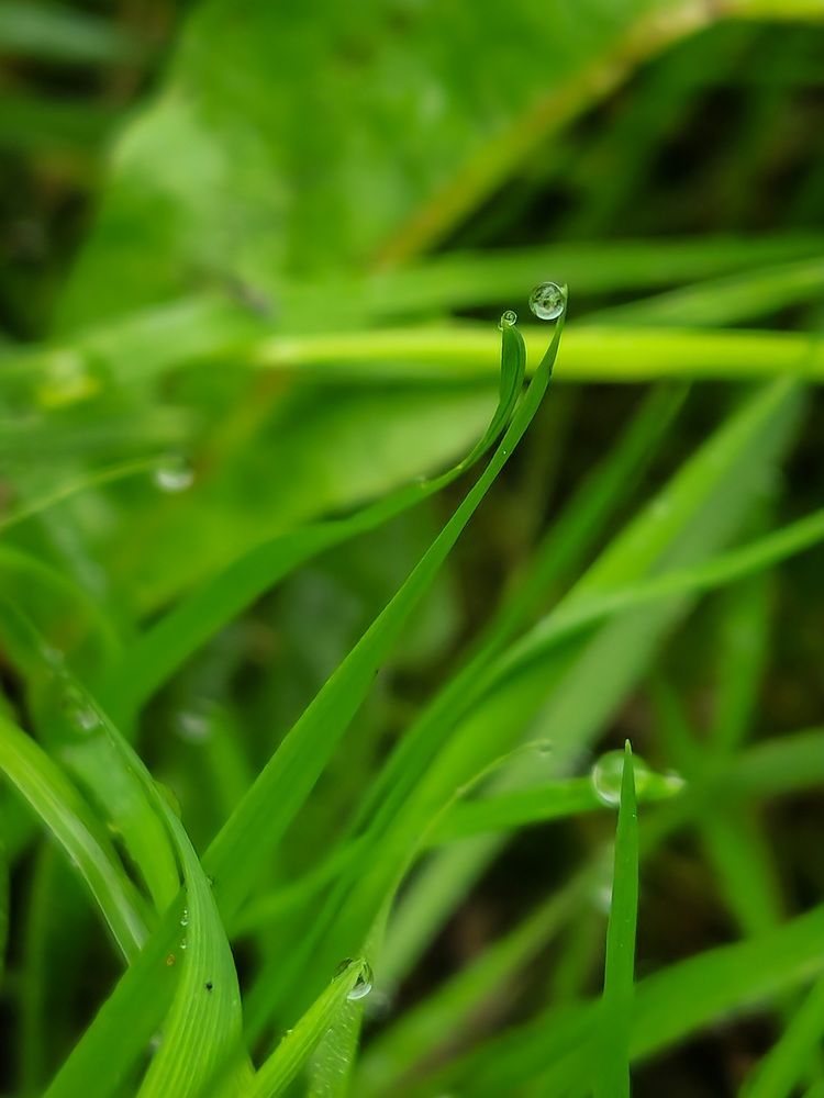 Фотография автора Ольга