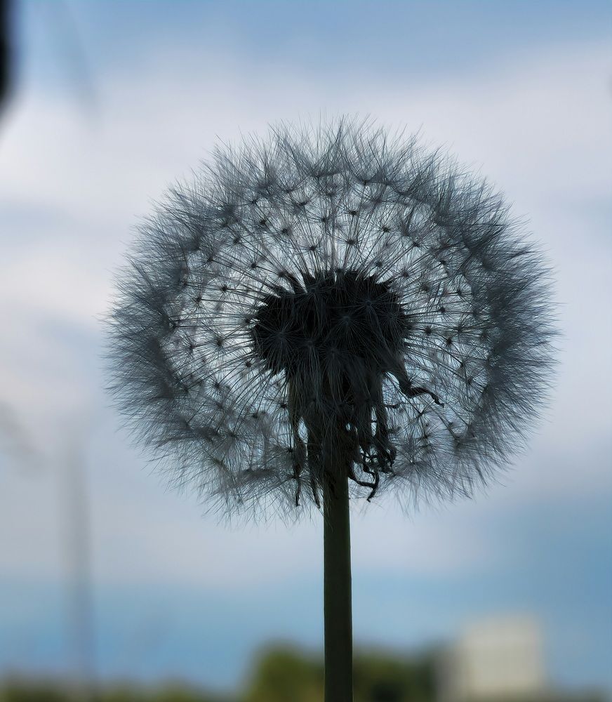 Фотография автора Ольга