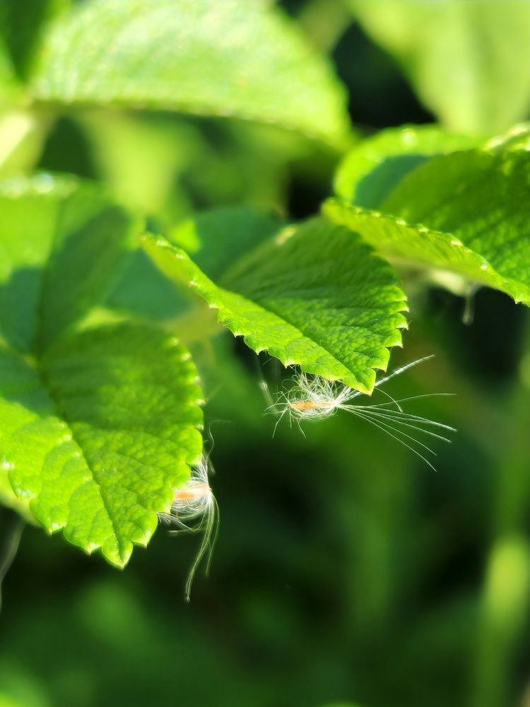 Фотография автора Ольга