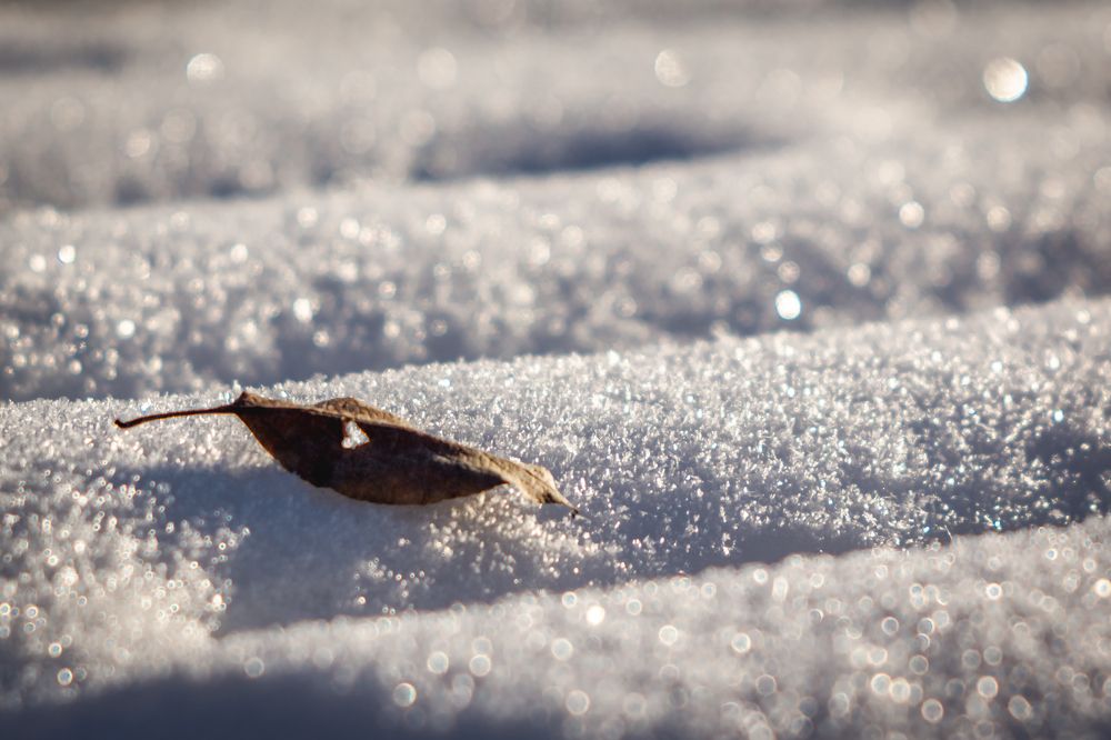 Морозный бархан