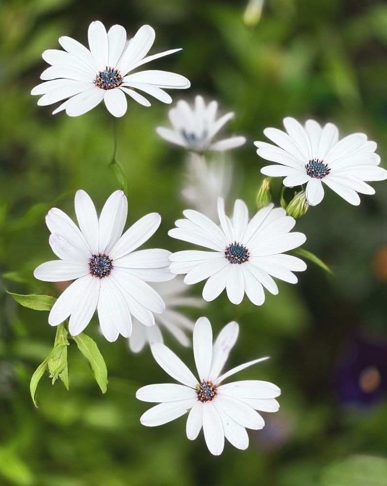 Photograph by Татьяна Волохова