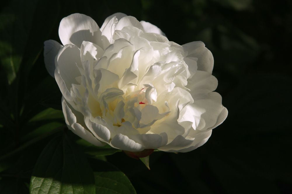 Photograph by Игорь Куленко