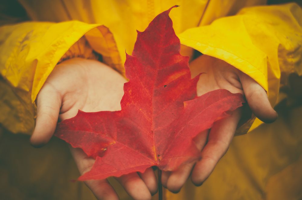 Photograph by Sergey Palchikov