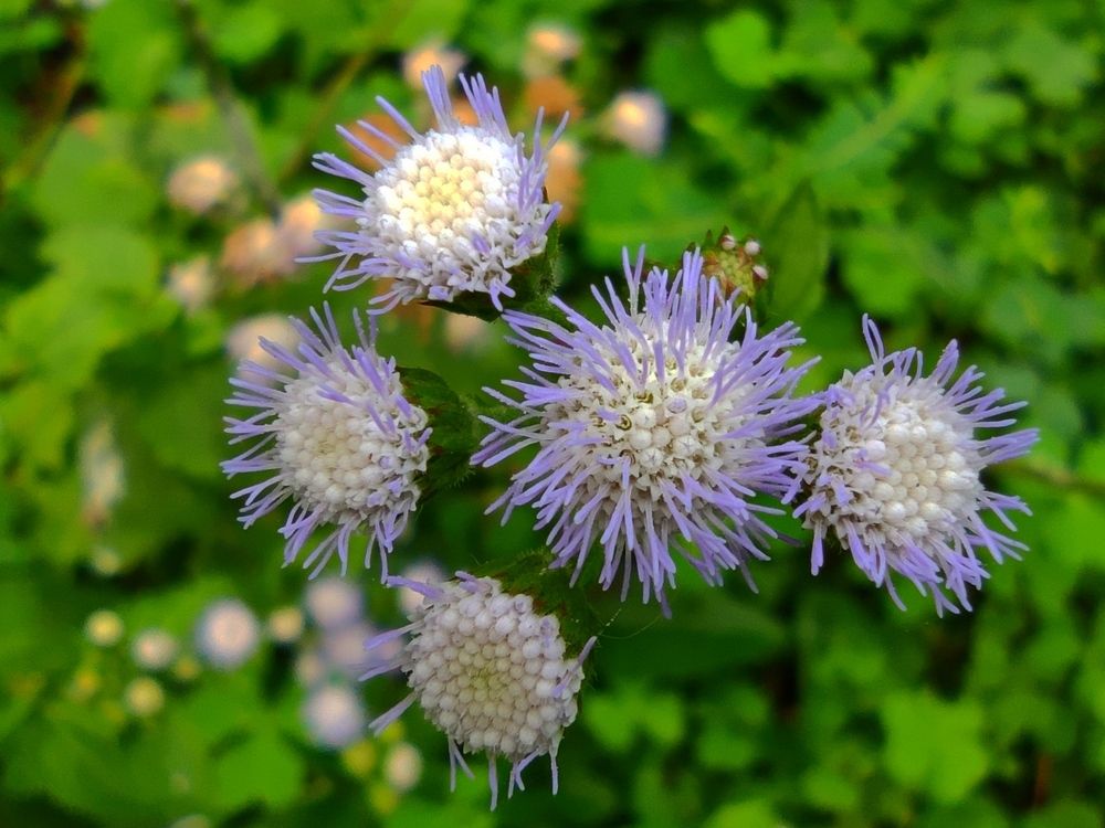 Photograph by JONATHAN VALDEZ