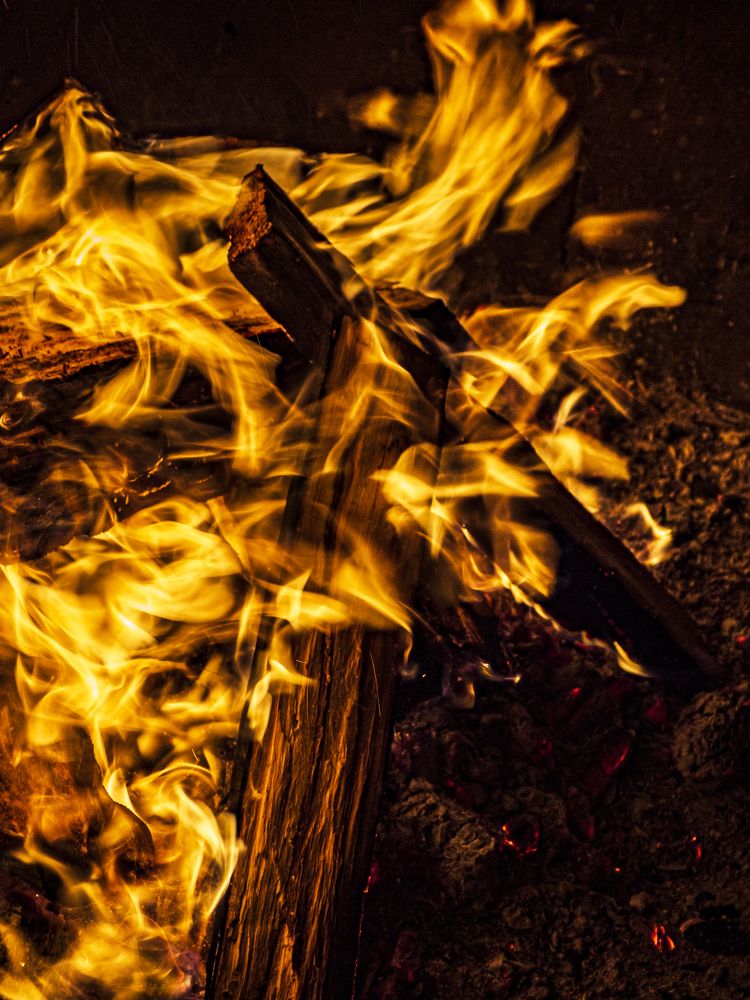 Photograph by Надежда Михайлина