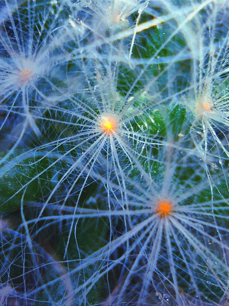 Photograph by JONATHAN VALDEZ