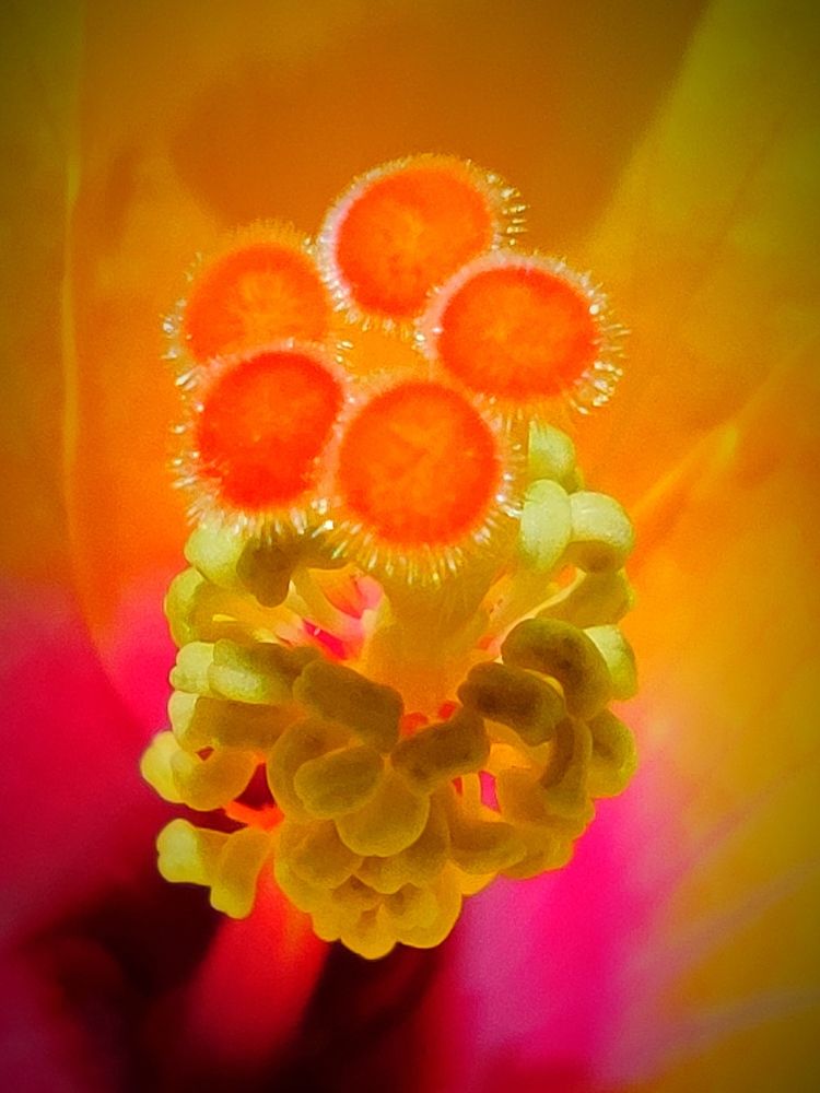 Photograph by JONATHAN VALDEZ