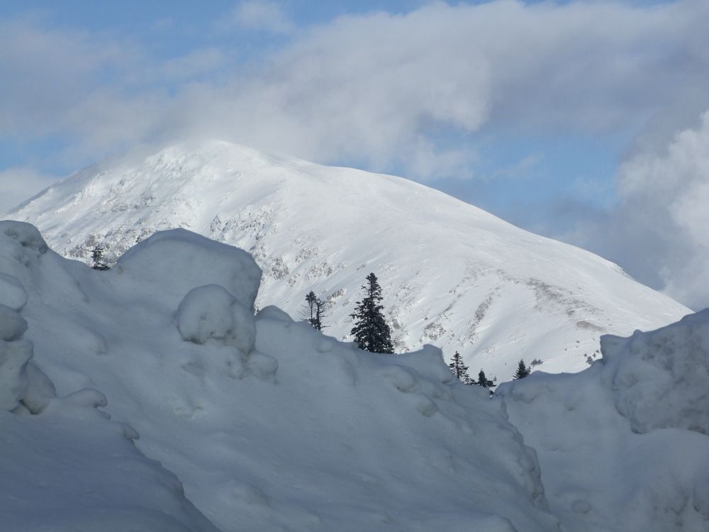 Photograph by Cengiz Yalcin