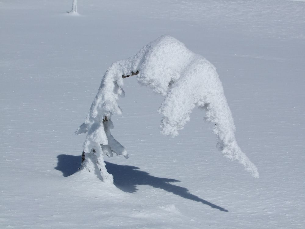 Photograph by Cengiz Yalcin