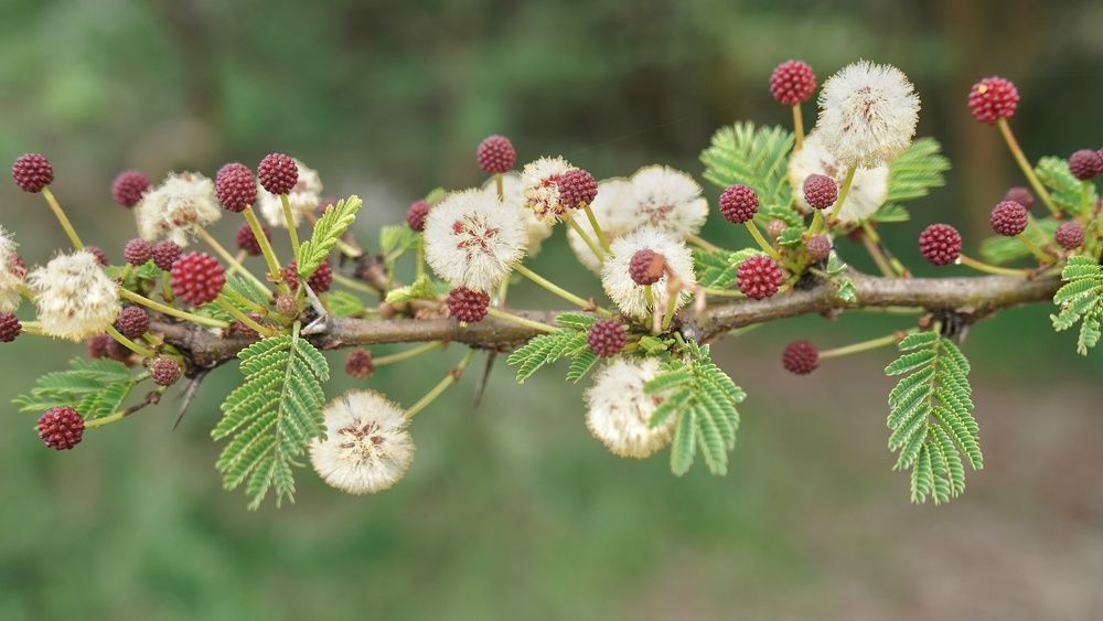 Photograph by Kevin Kosgei