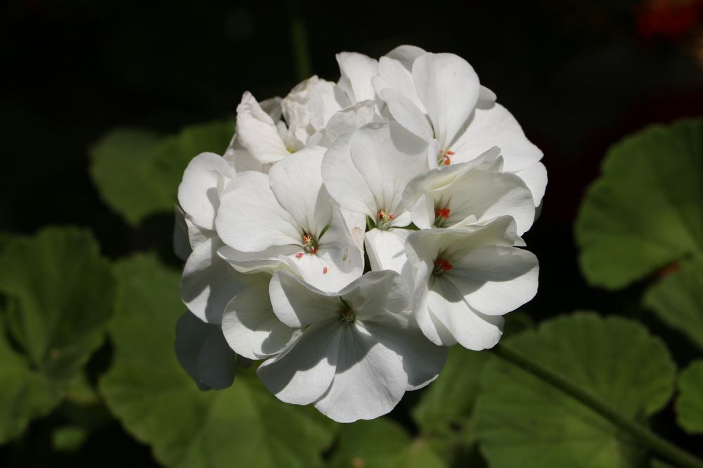 Photograph by Cengiz Yalcin