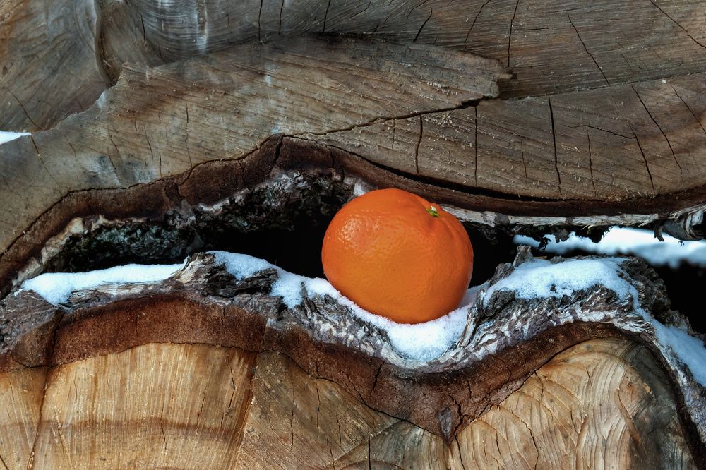 Photograph by Дмитрий Кулемин