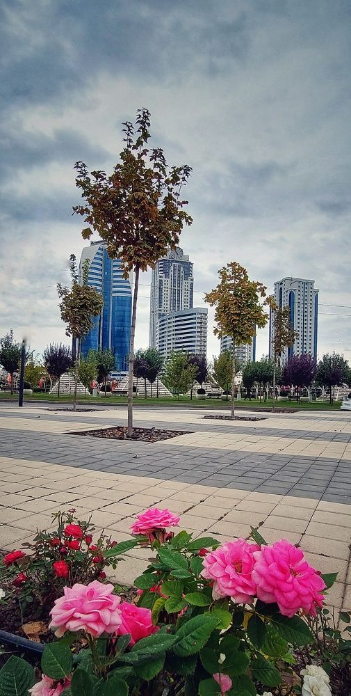 Photograph by Марина Жарикова