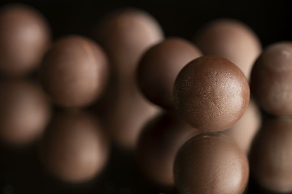 Photograph by Claudia Ruiz