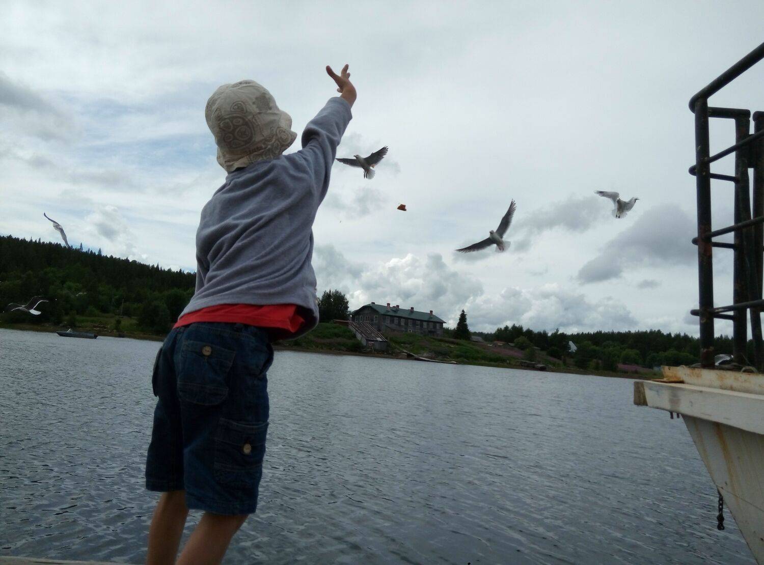 Photo #9497244