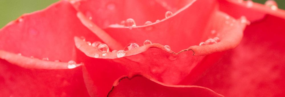 Фотография автора DIMITRIS MPAZIOTOPOULOS