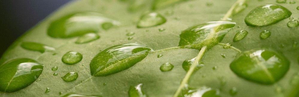 Фотография автора DIMITRIS MPAZIOTOPOULOS