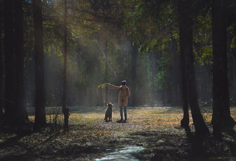 Photograph by Юлия Михайлова