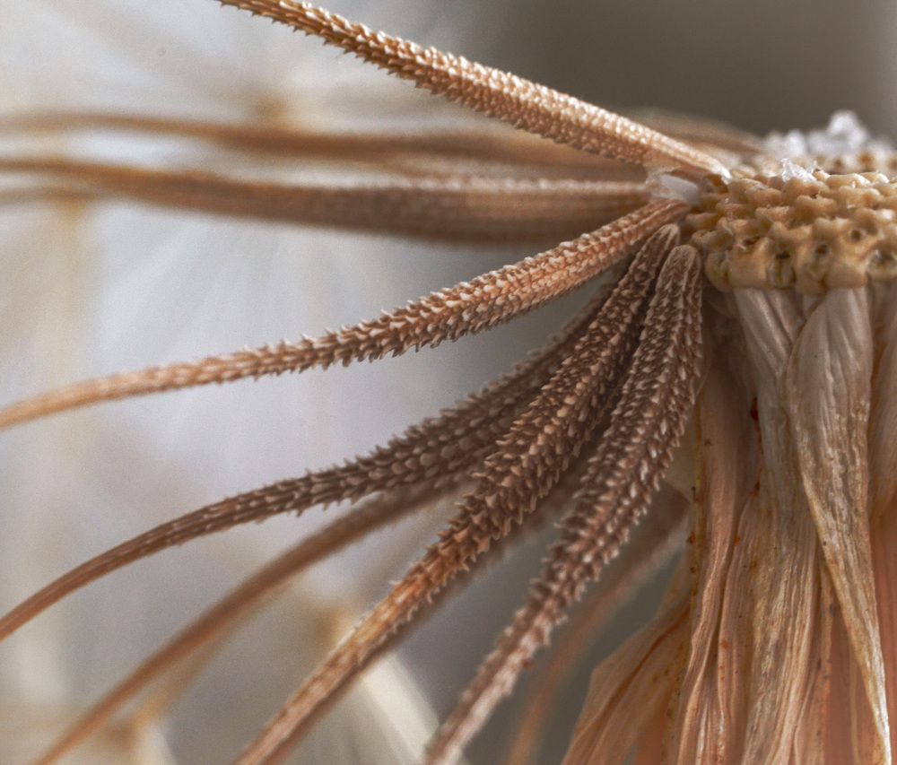 Photograph by Анастасия Чушкова