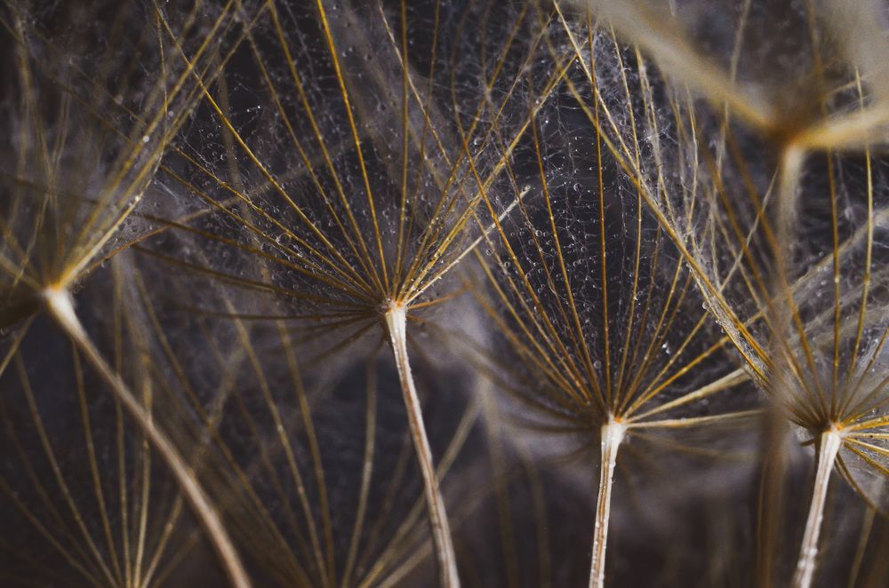 Photograph by Анастасия Чушкова