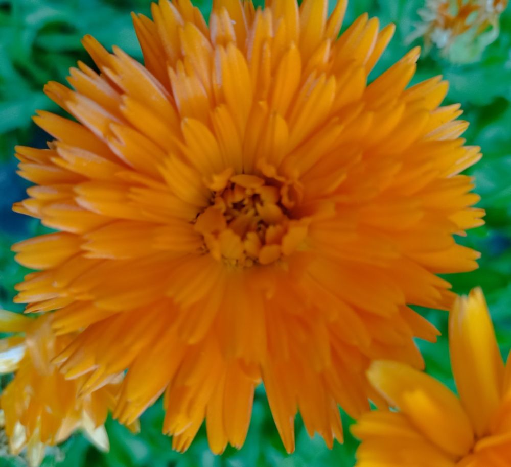 Photograph by Анна Виноградова