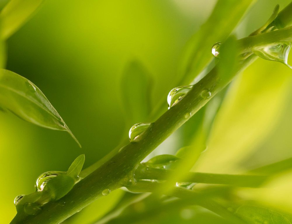 Фотография автора DIMITRIS MPAZIOTOPOULOS