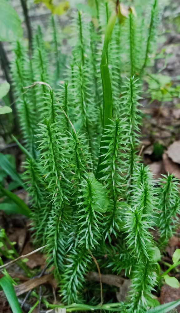 Photograph by Анна Виноградова